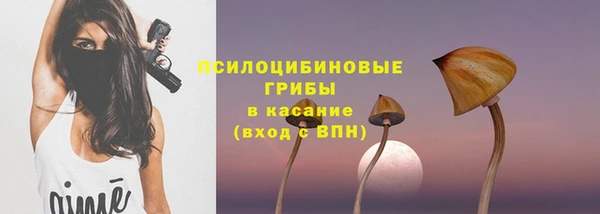 spice Алексеевка