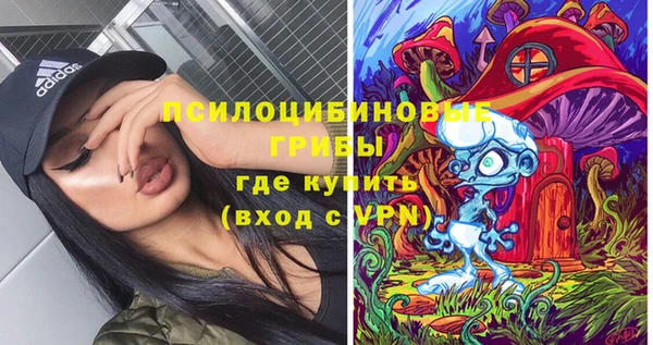 spice Алексеевка