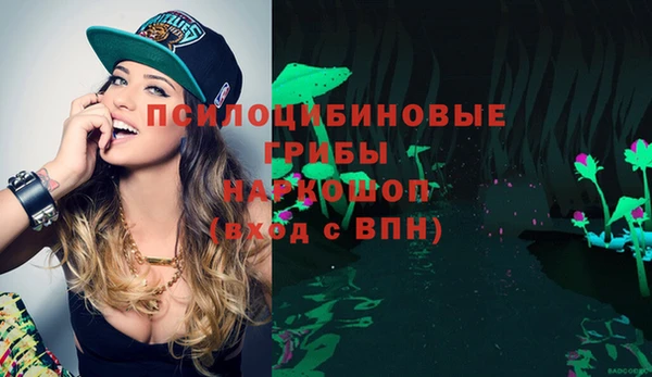 mix Алексин