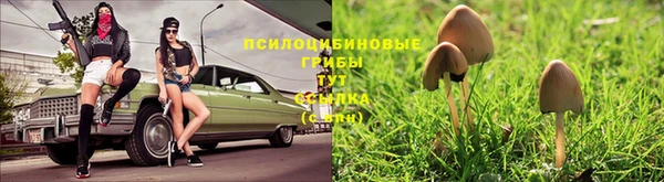 mix Алексин